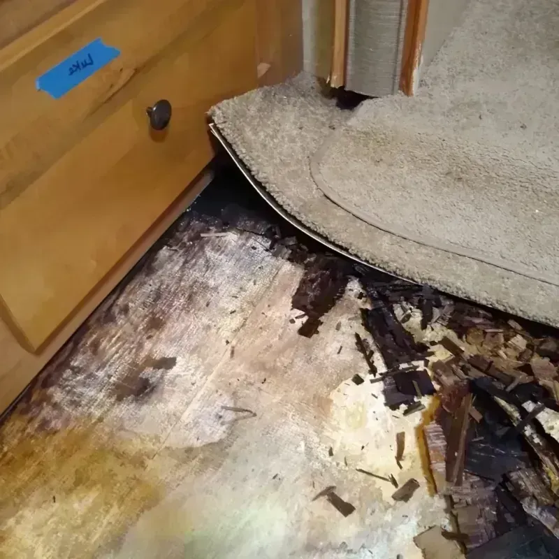 Wood Floor Water Damage in Glen Burnie, MD